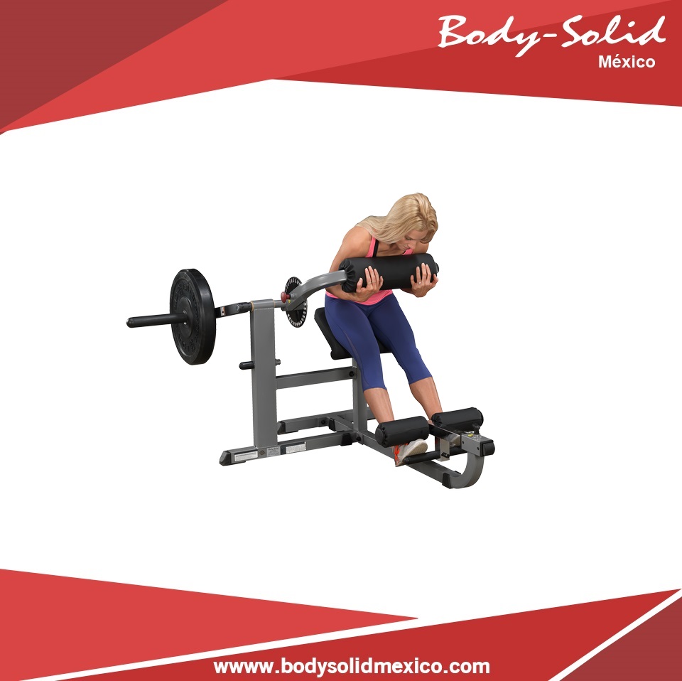 maquina fitness para abdomen y espalda baja Body solid Gcab360
